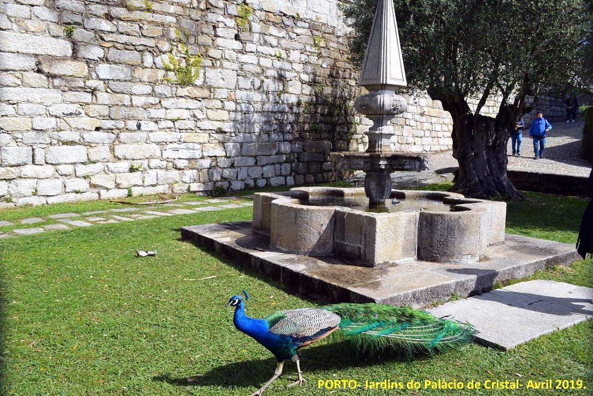 1088- Porto Jardins Palais Cristal.jpg
